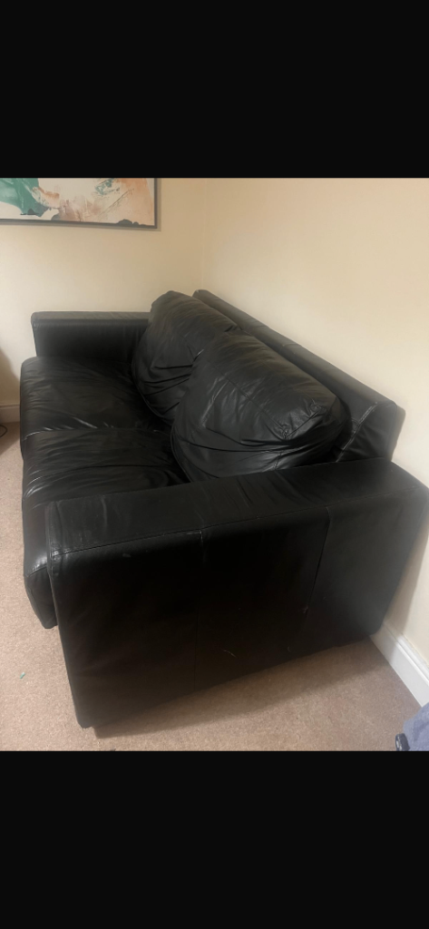 Italian leather sofa bed