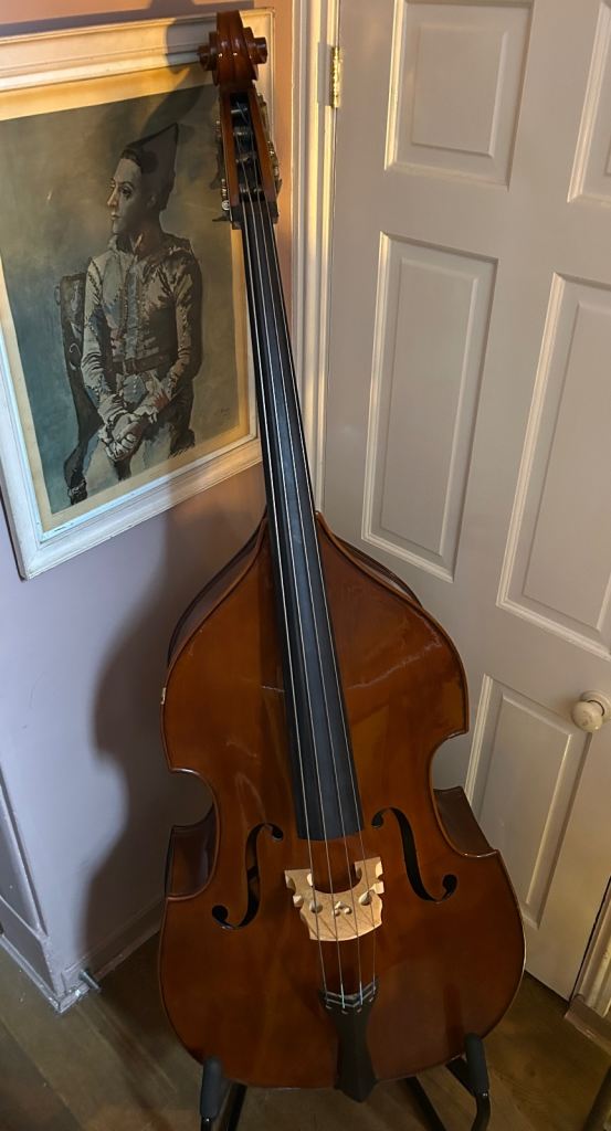 Superbly Resonant 3/4 Double Bass w case – Warm Tone, Ready to Play - Stentor Student II - £1275ono