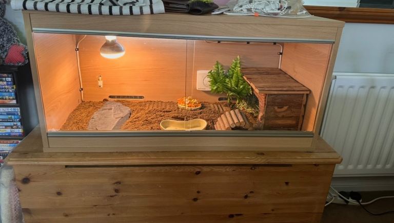 Vivarium set up 