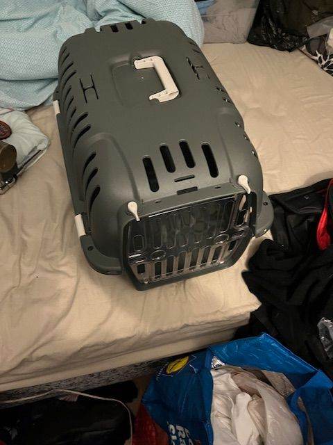 pet carrier