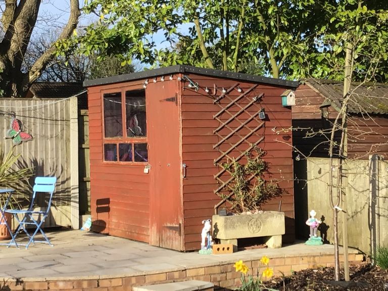 SHED(FREE)