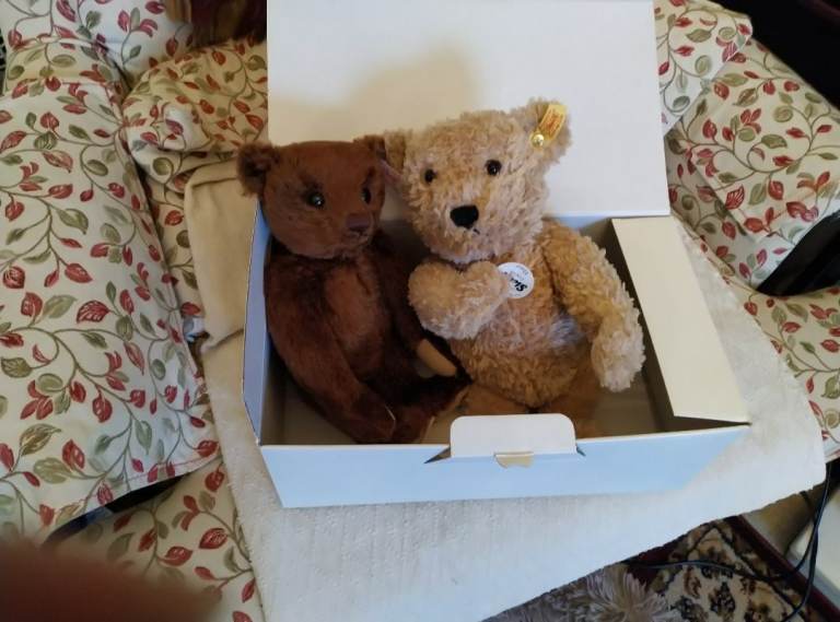 image for 2 Steiff bears