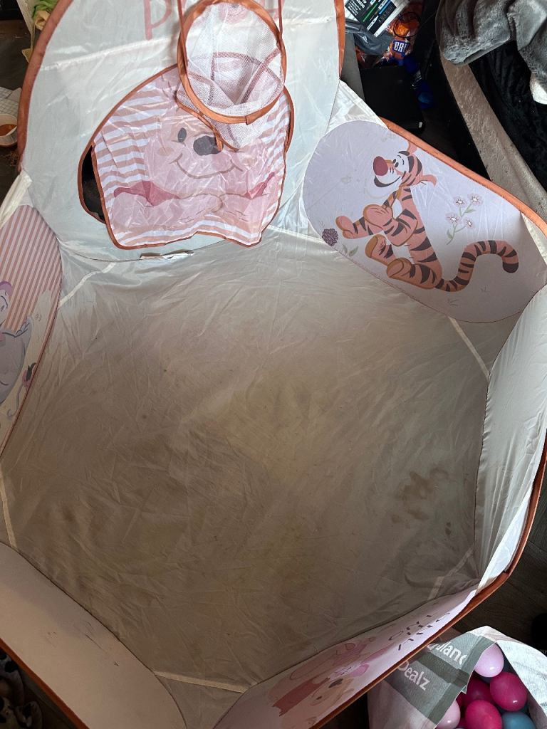 Winnie the Pooh ball pit and balls