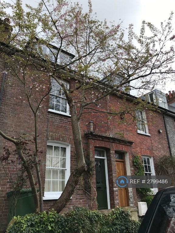 2 bedroom house in Paddock Road, Lewes, BN7 (2 bed) (#2799486)