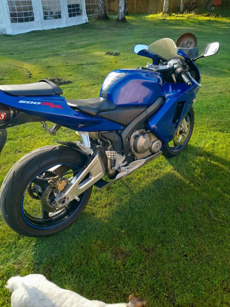 Honda, CBR, 2005, 599 (cc)