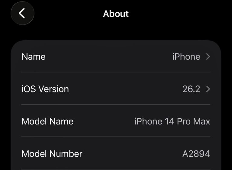 Black Apple iPhone 14 PRO Max 256GB iOS 26 - Like New