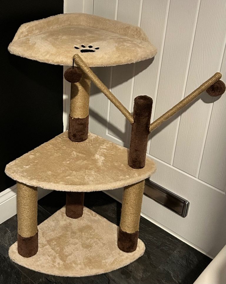 Pets at home Oreo cat scratching post (2wks old)