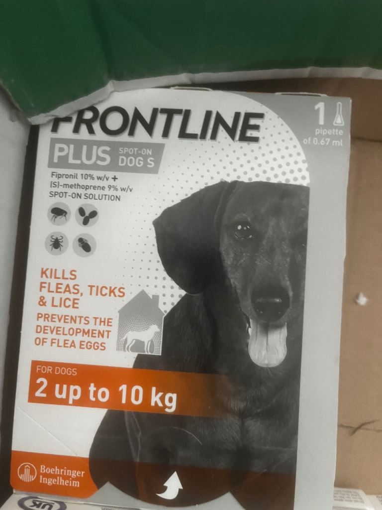 Dog cat flea treatment 