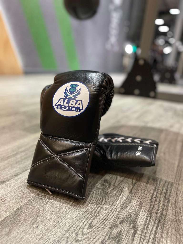 Alba Boxing Professional Gloves 16oz Premium Quality Leather Sparring Kickboxing