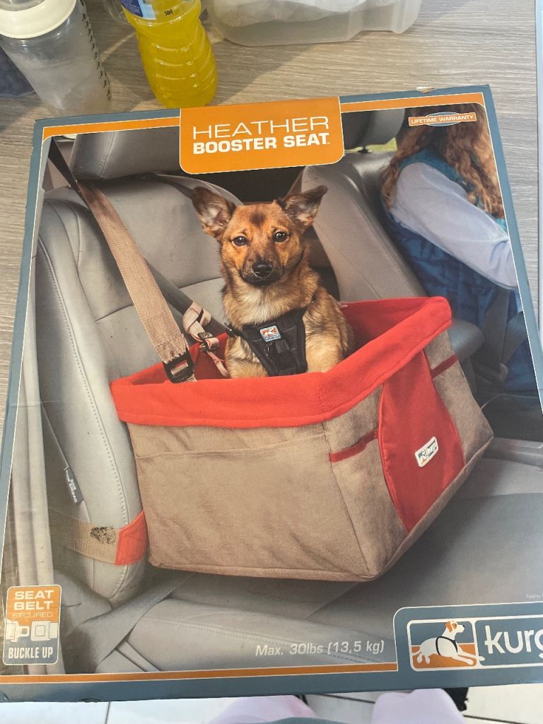 Small dog booster seat 