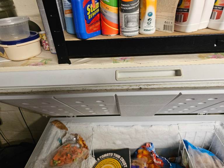 Chest Freezer – White, Good Condition