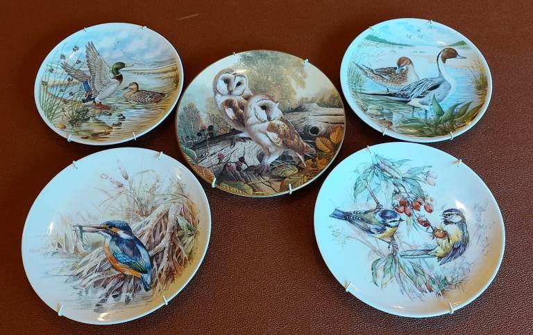 5 lovely Royal Worcester & Royal Doulton porcelain bird decorated plates + wall hangers