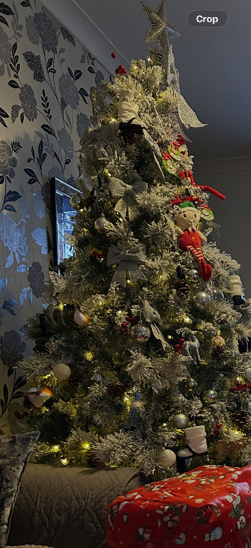 Large Christmas tree with lights 