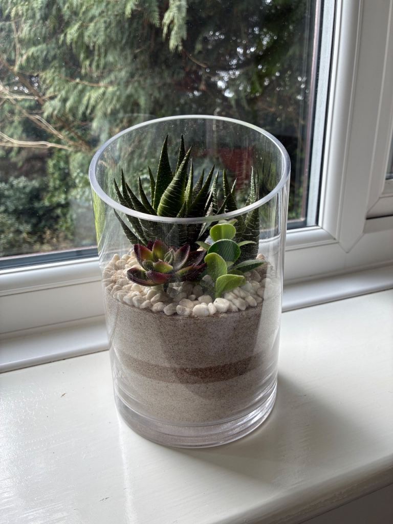 Artificial Succulent Terrarium in Glass Vase