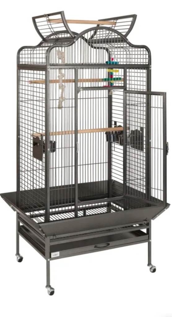 Parrot cage