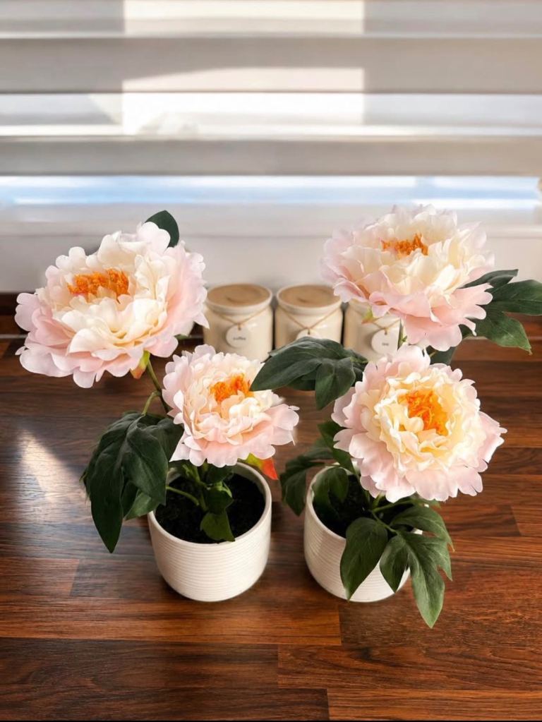 Artificial Peony Flowers in White Pots - Set of 4