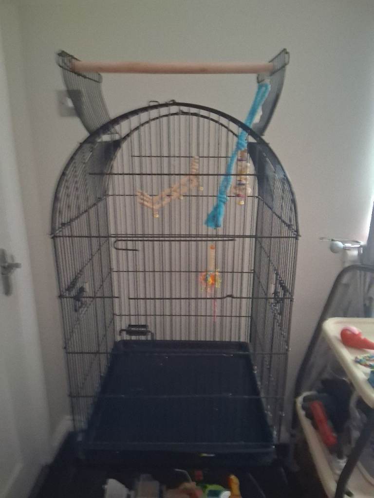 Large bird cage