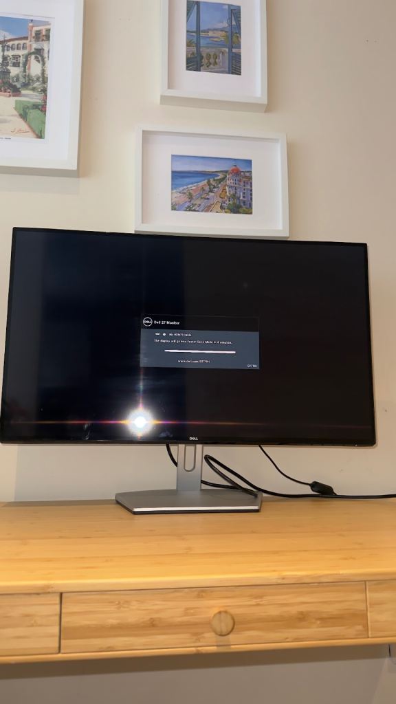 Dell Monitor 24 inch
