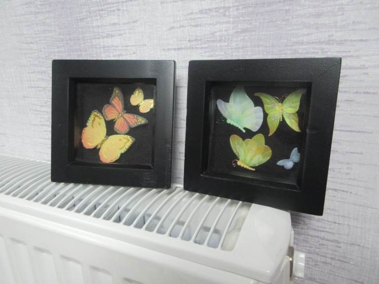 Set Of Two Small Decorative Butterfly Box Frame Pictures BRAND NEW