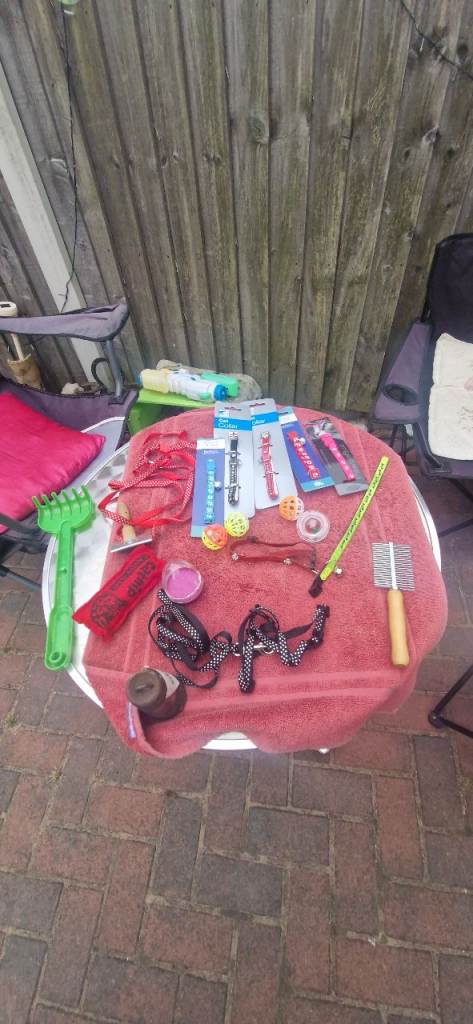 Various Cat dog items pet accessories 