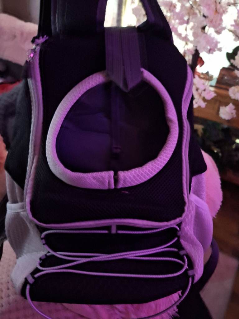 Black and grey dog carrier