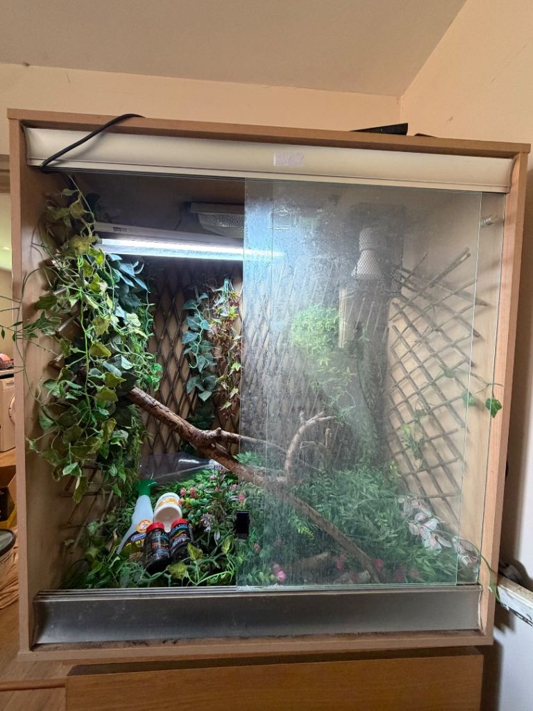 3x3x2” Vivarium full set up 