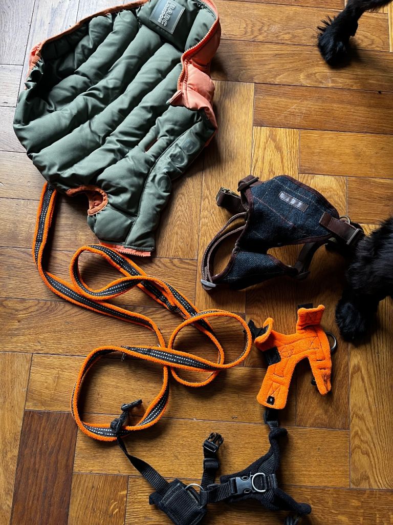 Puppy / small dog lead and jacket bundle