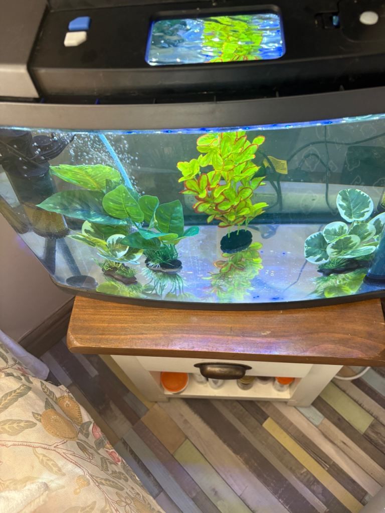 64 litre fish tank 