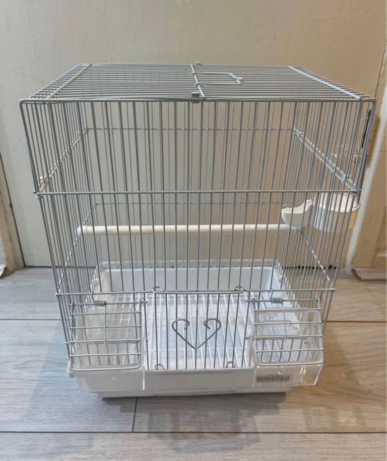 Bird cage 