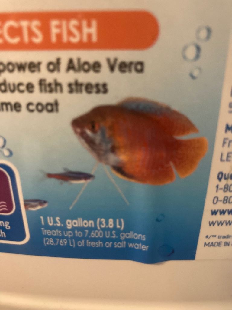 Aquarium Hatchery and fungal treatment