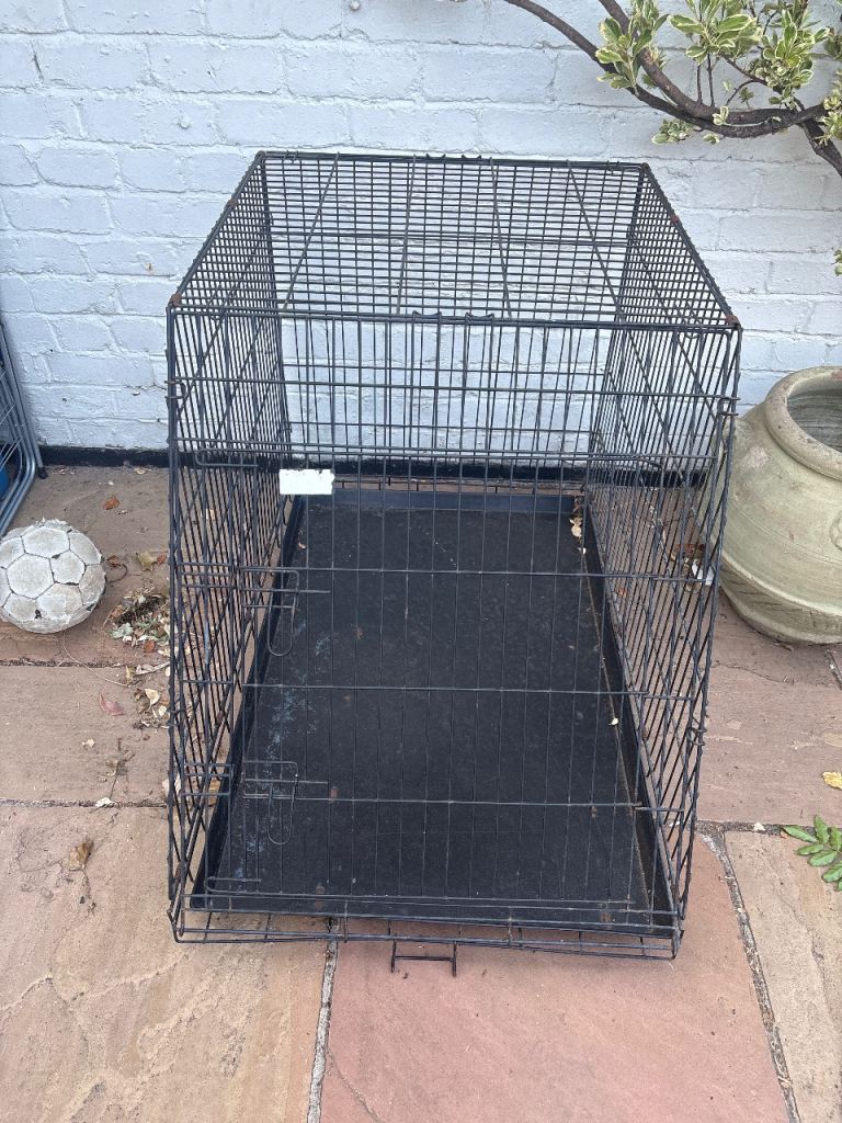 Free dog crate 