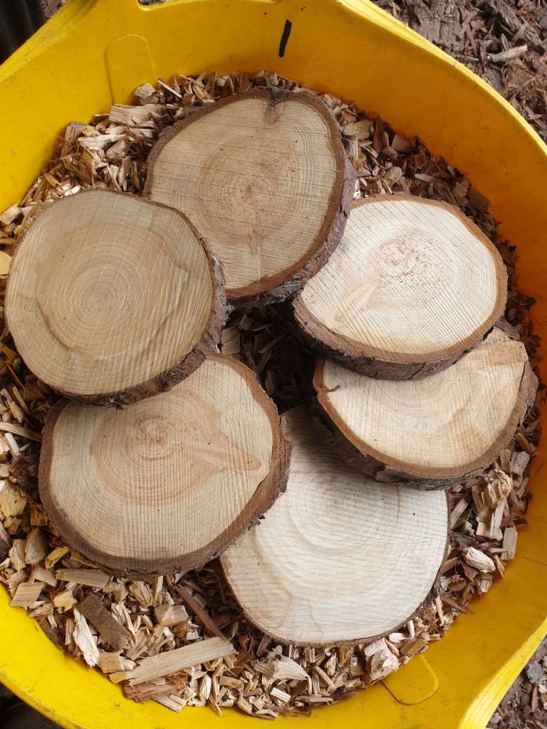 LOG WOOD SLICES - cut tree trunk slices all sizes for arts and crafts