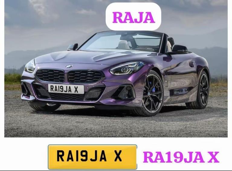 RAJA NUMBER PLATE 