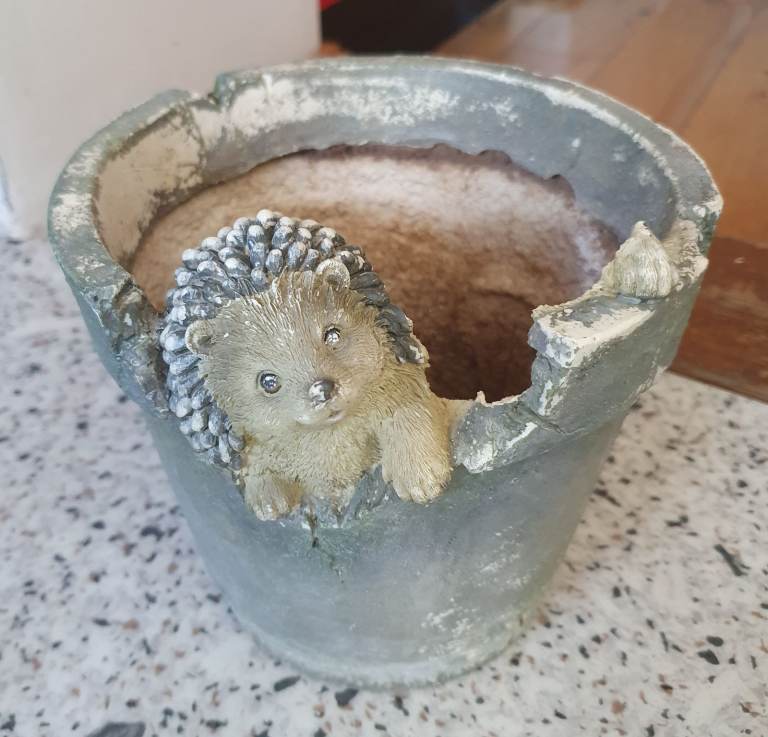 Hedgehog Grey Plant Planter Flower Pot 15.5cm high 17.5cm diameter 