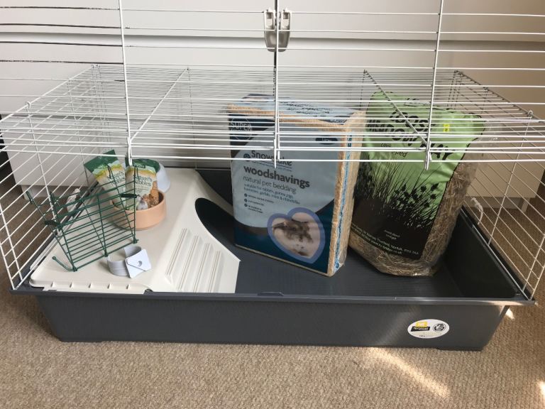 Indoor guinea pig cage 