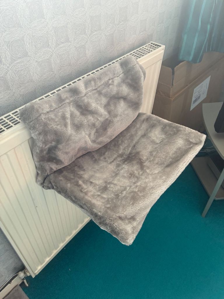 Cat radiator bed