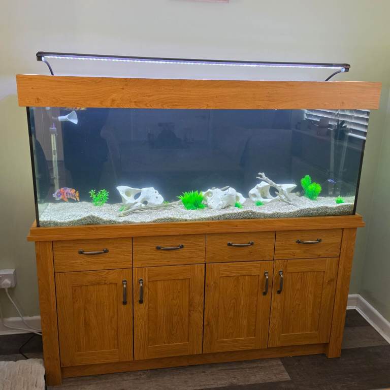 Aquaone oakstyle 300l fishtank with fish