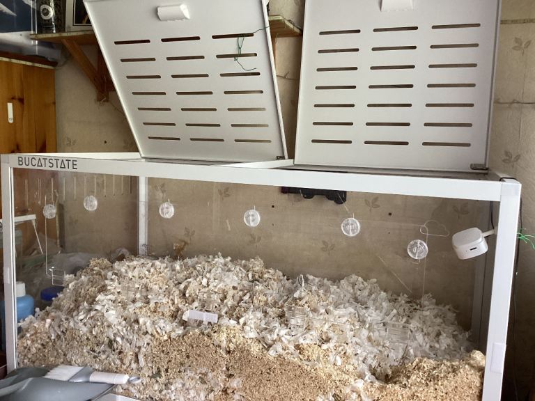 Hamster enclosure