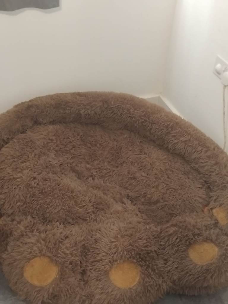 Dog bed 