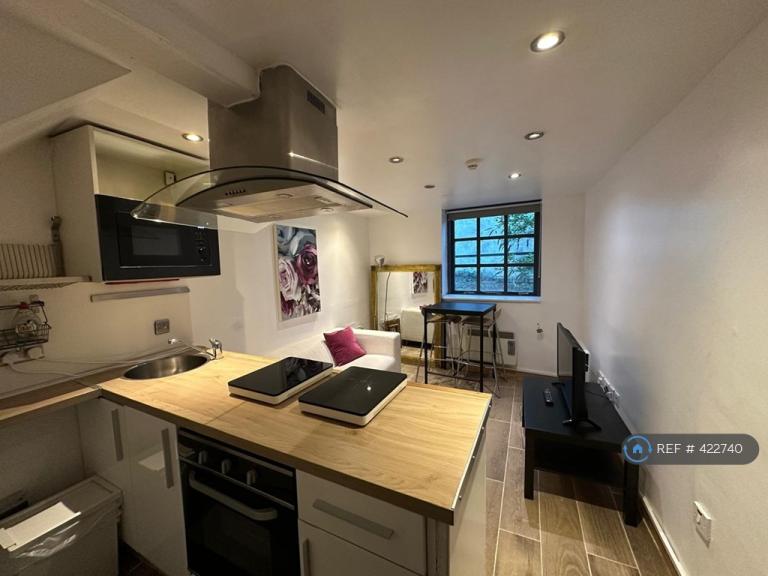 1 bedroom flat in Meanwood, Leeds, LS6 (1 bed) (#422740)