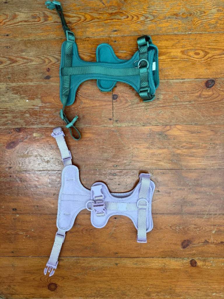 Wild One - 2x Dog Harnesses