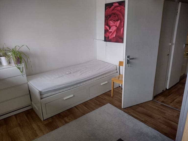 Large single room elephant and castle