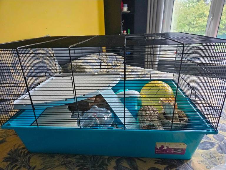 Xl Hamster Cage, accessories & food