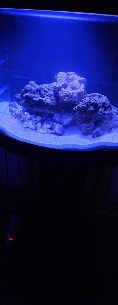 Marine Aquarium Fish Tank
