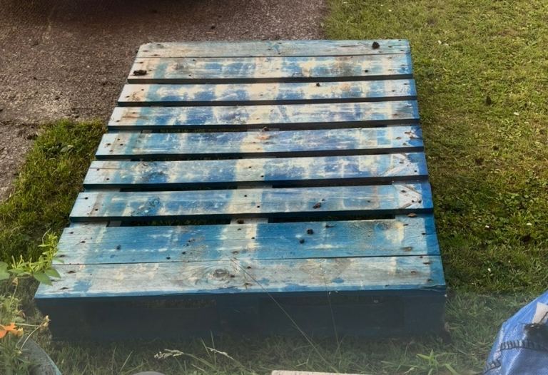 Two free pallets. Collection only