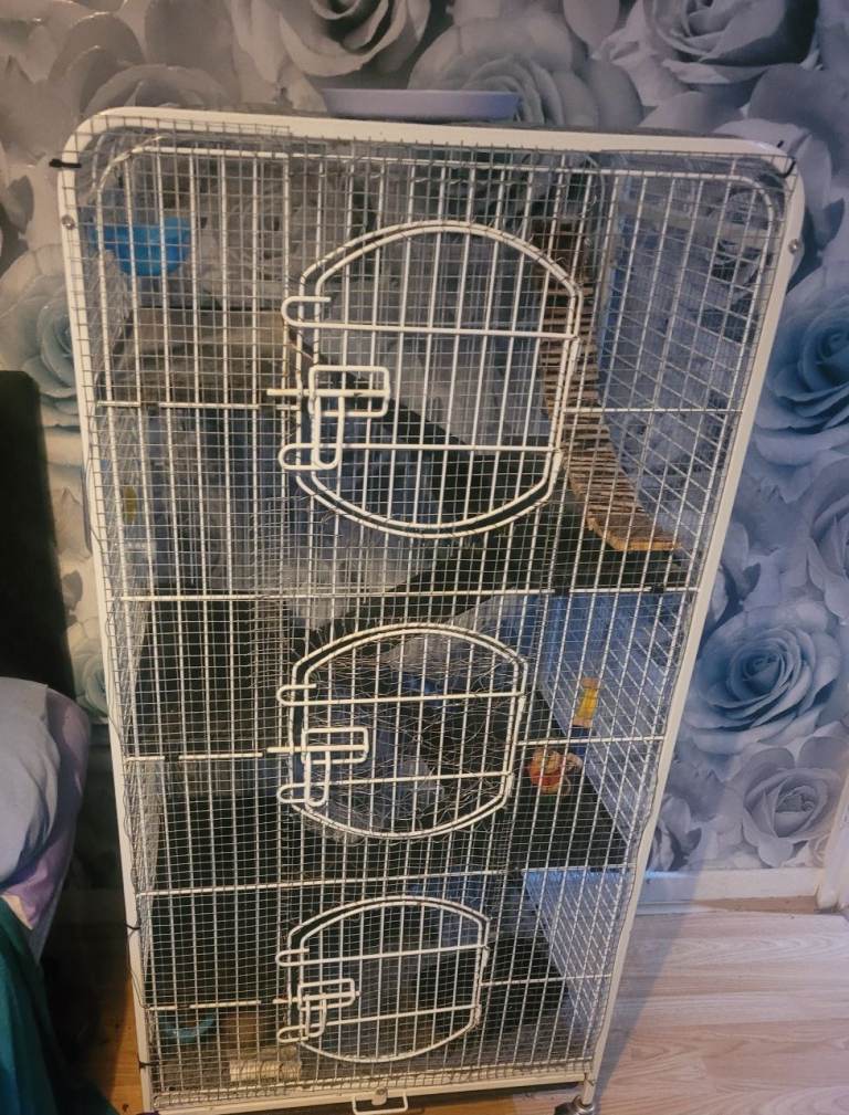 Ferret/rodent cage £100