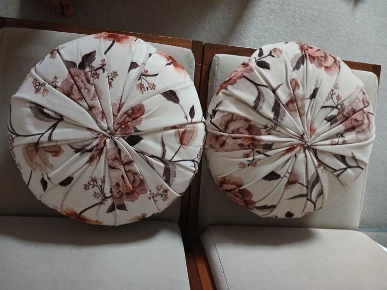 Cushions x 2