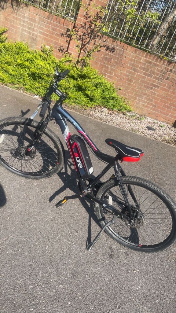 ELife Electric Bike 
