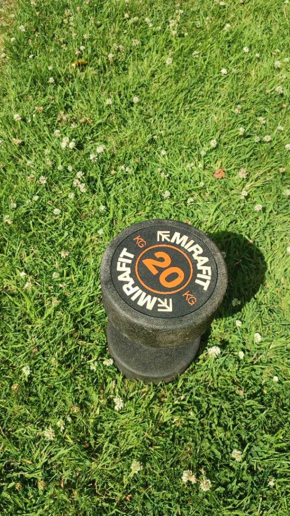 MIRAFIT 20kg Rubber dumbbell