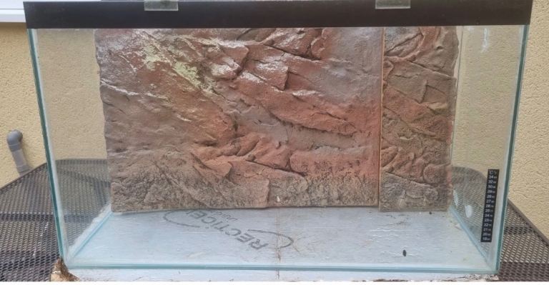 100L fish tank with 3D back ground 